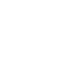 Footer icon 1