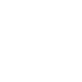 Footer icon 2