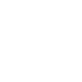 Footer icon 3