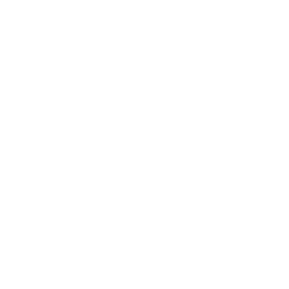 Footer icon 4